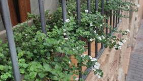 Descubre el Señorío - Foto 4