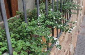 Descubre el Señorío - Foto 4