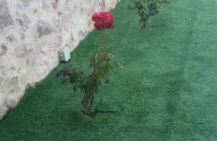 Double Bee Villa with private pool - Foto 37