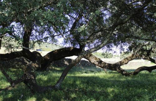 Casa Rural El Tejar - Foto 52