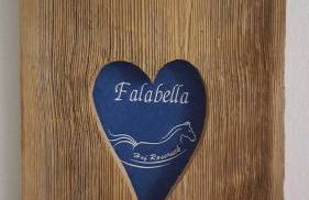 Hof Rossruck - Foto 31