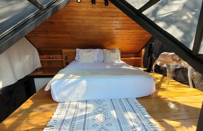 Bosque Geométrico - Foto 27