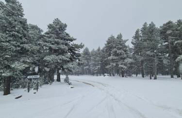 La casa del bosque - Foto 40