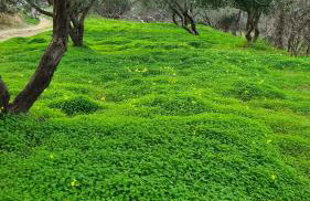 Greece - holidays & long stays - 2 Vilas - Photo 28