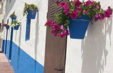 Xenia Alojamientos - Foto 19