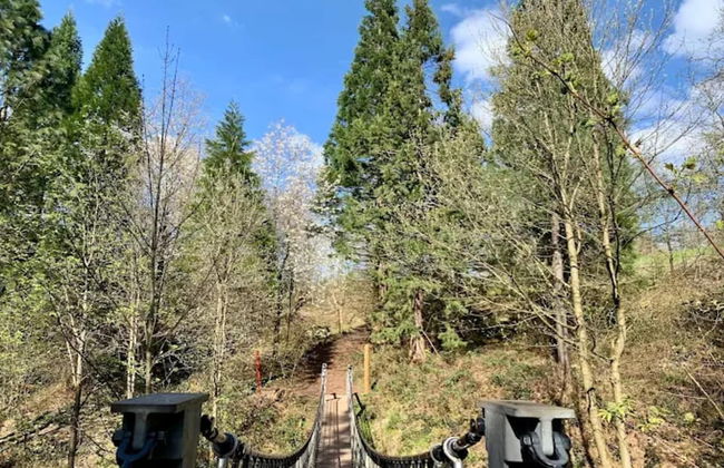 Charming Holiday Residence in the Harz With Wonderful Excursion Opportunities - Foto 69