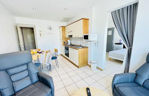 Residence Louis Place du Marche - Foto 47