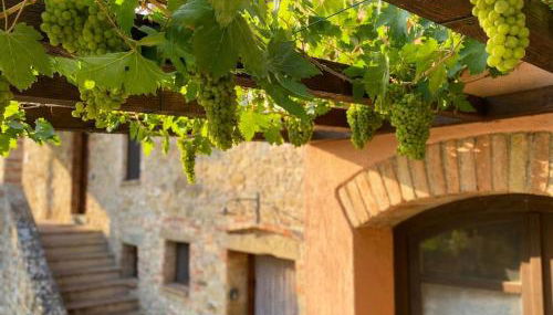 Il Sodino 1738 - Locazione Turistica - Photo 3