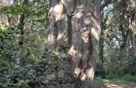 Maison An Ty Göal - Foto 47