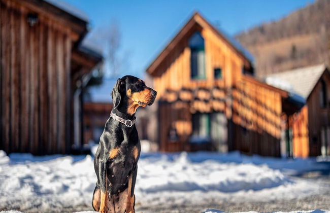 Apartment for up to 5 People - Foto 21