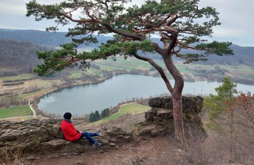 Ländliche Fewo Wildblume, 4 km zum Stausee - Foto 11