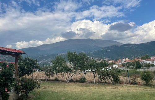 Villa Olympus - Photo 25