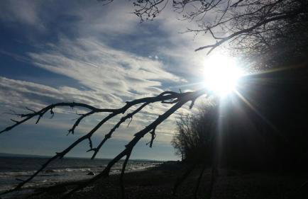 Ferienwohnung Rügen-Freiheit - Foto 25