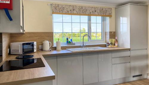 Ivy - Uk47373 - Foto 4