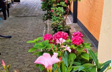 Casa Gia OG - Foto 18