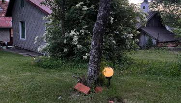 Kuća za odmor PEPA - Foto 3