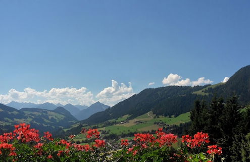 Alpbach Bergwald - Foto 57
