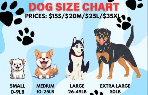 Peaceful Paradise Relax in Las Vegas - Foto 65