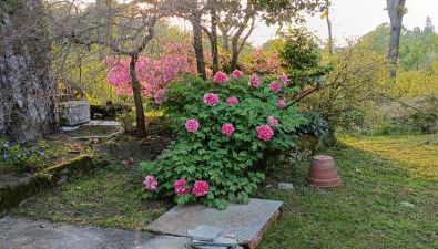 La Ginestra - Foto 4, Garden