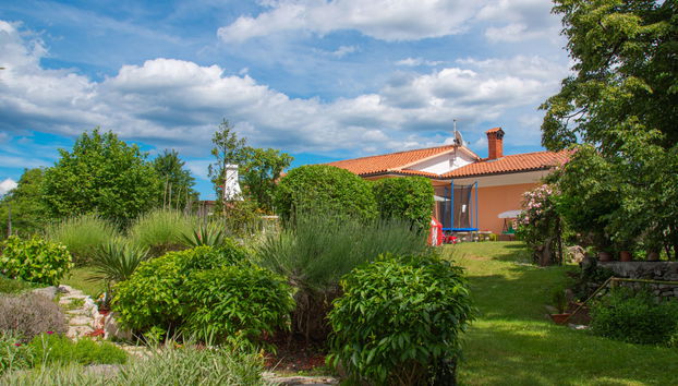 Pepe - Foto 2, House