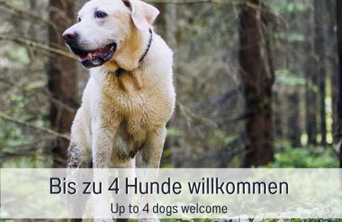 Fronwald: Sauna | Whirlpool | Kamin | eingezäunt - Foto 13