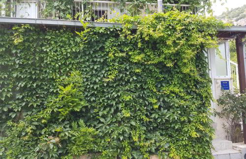 Apartment Nina - Foto 20