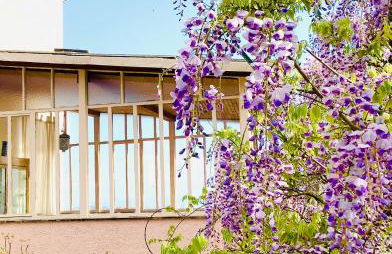 Artists' holiday home near Cinque Terre - 4 bedrooms, large terrace, great views - Foto 31