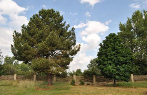 Finca Arroyo del Valle NO HAY PISCINA - Foto 62