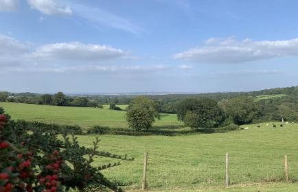 Bettys Barn - Foto 44