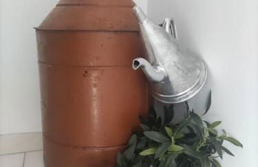 Casa do Trovão - Douro - Foto 43