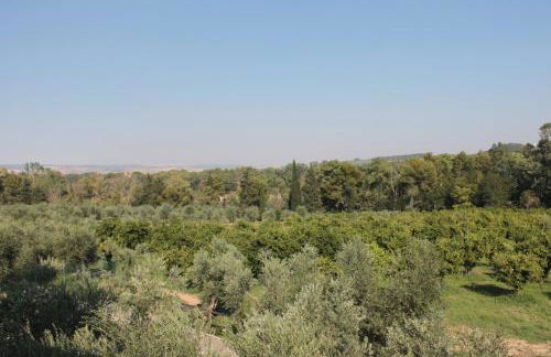 Agriturismo L'Assiolo - Foto 24