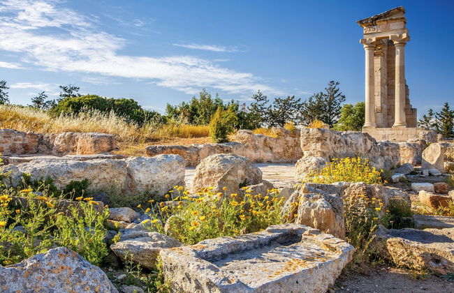 Sanders Eduardovich Limassol - Foto 78