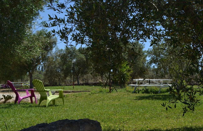 Agriturismo Terra D'Ulivi - Foto 41