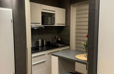 Suity-Centrum - Photo 15