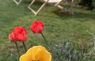 Henley self catering House - Foto 22