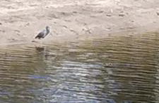 True Happiness, Housing Near Disney Word - Foto 2