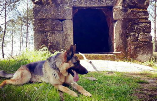 Cozy studio with mountain view - 20 m² - Águeda - Foto 53