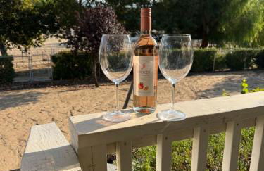 Amazing Ranch Home in Temecula wine country - Foto 18