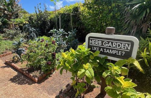 Pono Kai Resort #A101 - A Welcoming 2 Bdrm - 2 Bath, Private Beachfront Vacation Home - Foto 16