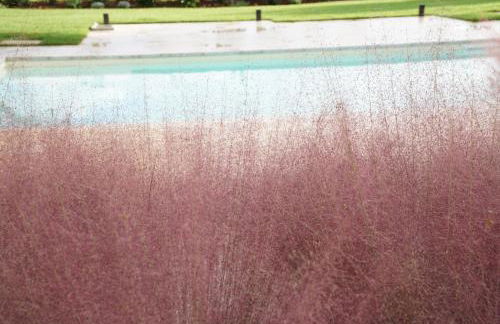 Masseria Li Reni - Foto 142