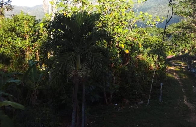 Lovely 1-bed Cottage in St Catherine Jamaica - Foto 7