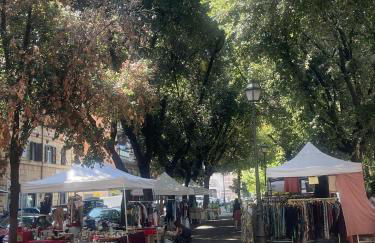 Porticus Roma - Foto 11