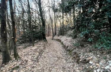 como tavernerio shabby chic bilocale zero smog - Foto 9