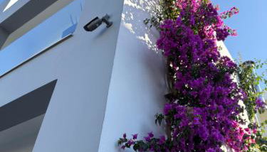 Anna and Jimmy's - Foto 5