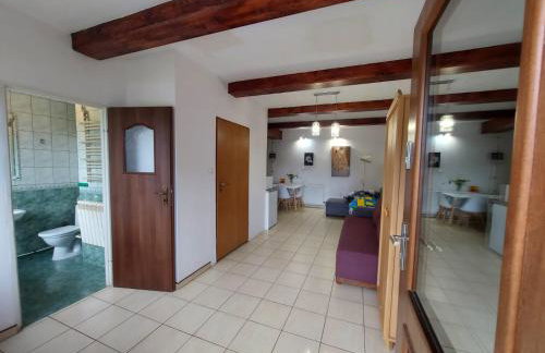 Mieszkanie nad jeziorem Rydzówka+prywatny staw+plaża+Mazury - Foto 21