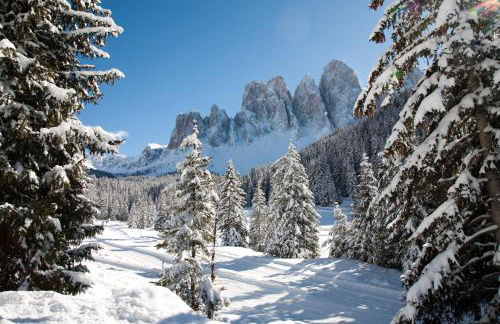 Jaiterhof - Photo 53