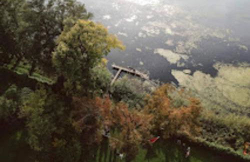 Feriendorf am Weinberg, Dobbrikow - Foto 23