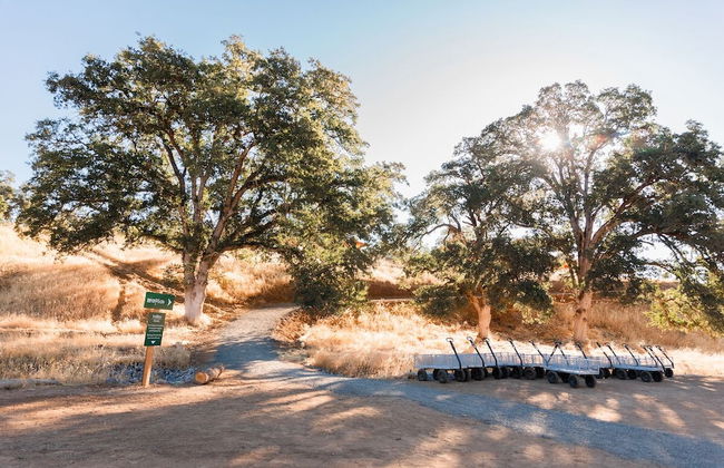 Huttopia Wine Country - Foto 45