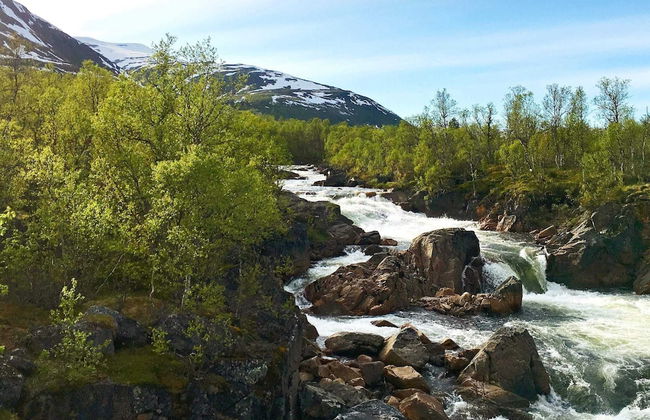 8 Person Holiday Home in Kaldfarnes - Foto 25