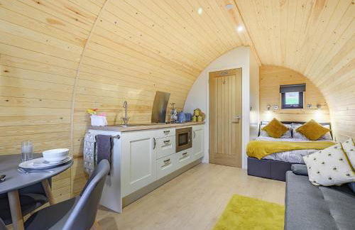 Coton - Ukc5324 - Photo 1